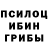 Псилоцибиновые грибы ЛСД Mister Gantleman