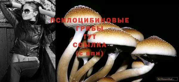 кокаин премиум Алзамай