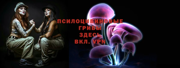 соль ск Алексеевка