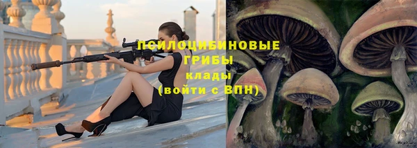 соль курить ск Алексин